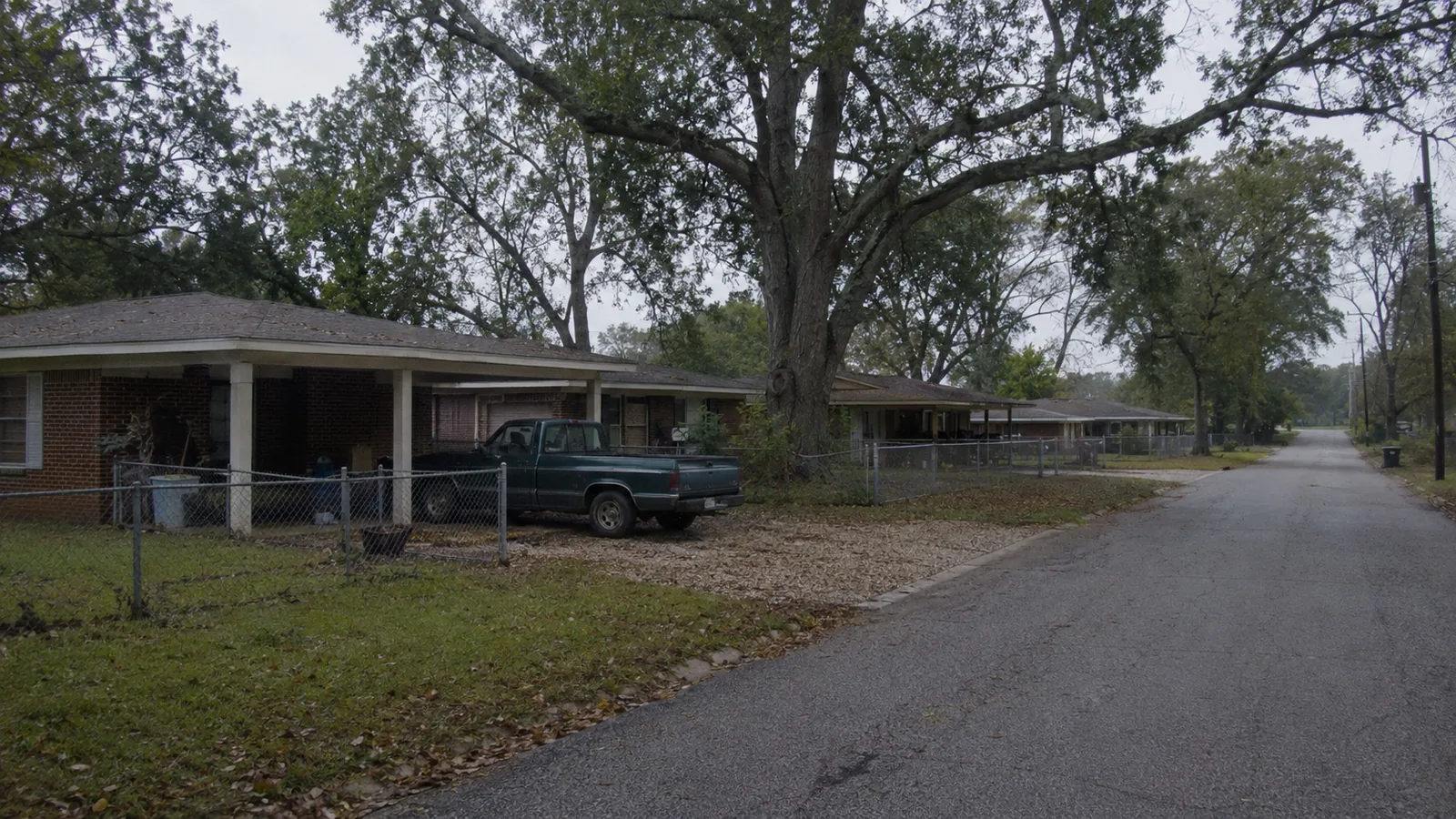 1960s brick ranch houses under mature trees on a street in Wheat Ridge, CO